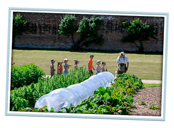 Peter Rabbit - The Peter Rabbit™ Oxfordshire Garden Adventure immersive experience